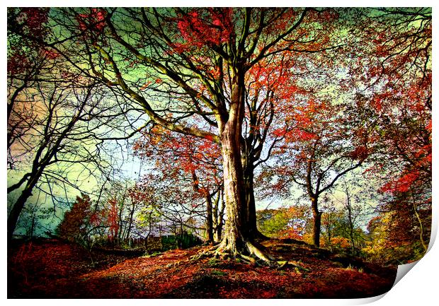 Tree on the Hill Print by Irene Burdell