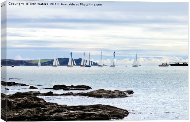 The Working Boats Race Falmouth 2018 Canvas Print by Terri Waters