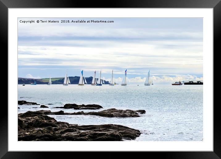 The Working Boats Race Falmouth 2018 Framed Mounted Print by Terri Waters