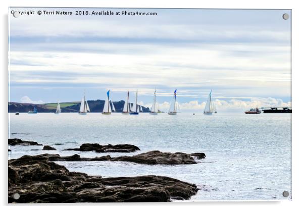 The Working Boats Race Falmouth 2018 Acrylic by Terri Waters