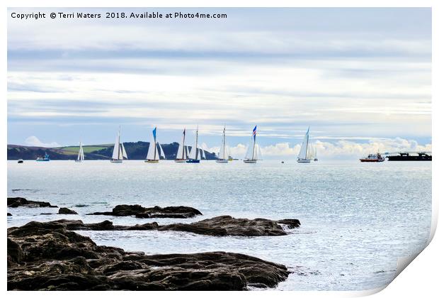 The Working Boats Race Falmouth 2018 Print by Terri Waters