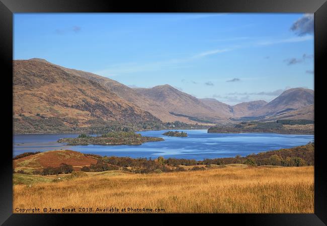 Magnificent Autumnal Beauty Framed Print by Jane Braat