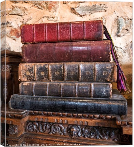a pile of very old books  Canvas Print by Chris Willemsen