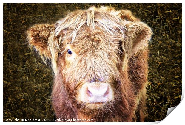 Little Highland Cow Print by Jane Braat