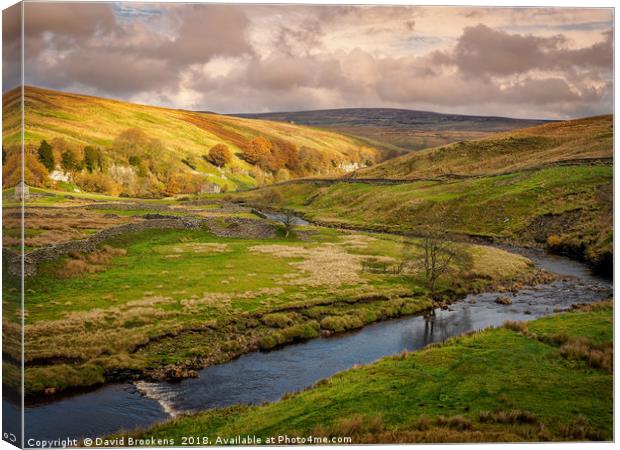 Near Cotterby Scar Canvas Print by David Brookens
