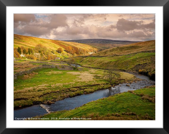 Near Cotterby Scar Framed Mounted Print by David Brookens