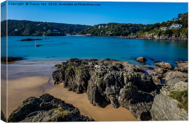 Salcombe Estuary.  Canvas Print by Tracey Yeo