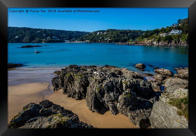 Salcombe Estuary.  Framed Print by Tracey Yeo