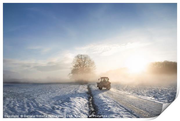 Tractor silhouette through fog at sunrise Print by Daniela Simona Temneanu