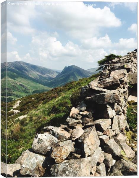 Fleetwith Pike Canvas Print by Phil Wilson