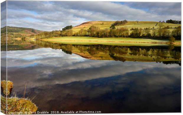 A mirror reflection in Ladybower Reservior        Canvas Print by Chris Drabble