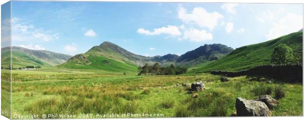 Beautiful Buttermere. Canvas Print by Phil Wilson