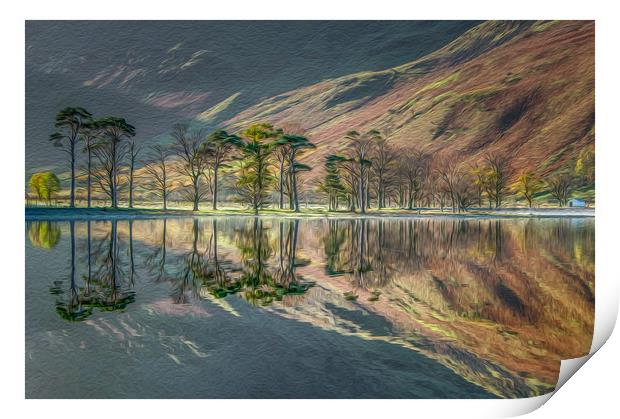 Buttermere Pines Print by Paul Andrews