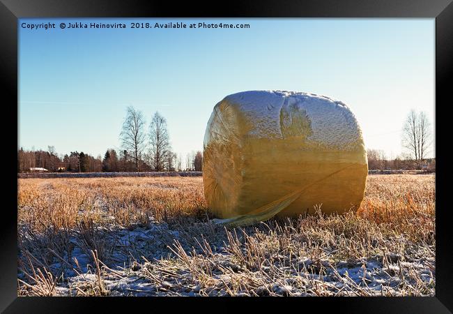 Yellow Bale On The Frosty Fields Framed Print by Jukka Heinovirta