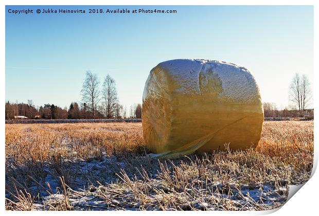 Yellow Bale On The Frosty Fields Print by Jukka Heinovirta