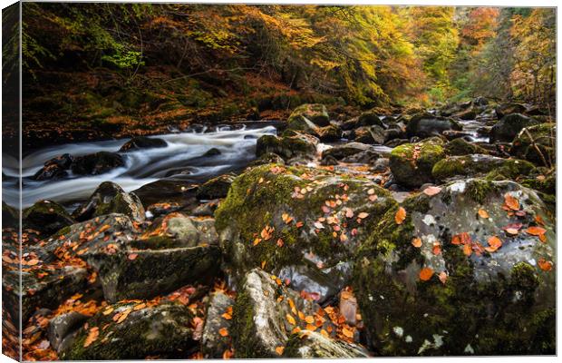 Autumn on the River Braan in Perthshire Canvas Print by George Robertson