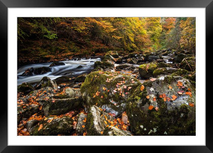 Autumn on the River Braan in Perthshire Framed Mounted Print by George Robertson