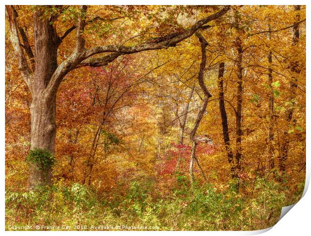 Autumn Forest Print by Frankie Cat