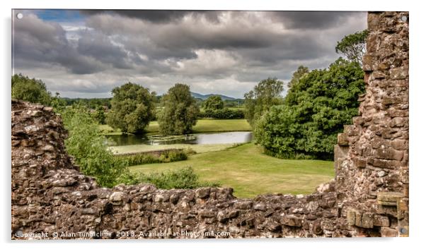 Beautiful Shropshire countryside Acrylic by Alan Tunnicliffe