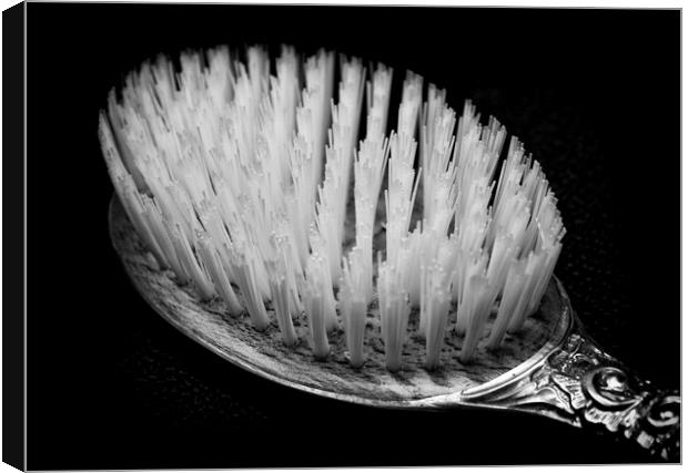The Monochrome Hairbrush Canvas Print by Jonathan Thirkell