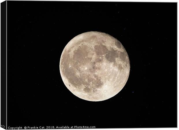 Full Moon Canvas Print by Frankie Cat