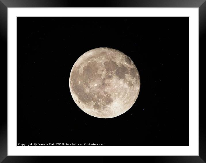 Full Moon Framed Mounted Print by Frankie Cat