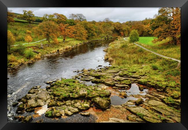 The River Wharfe Framed Print by Diana Mower