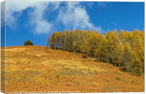 Autumn in the Rhondda Canvas Print by Nick Jenkins