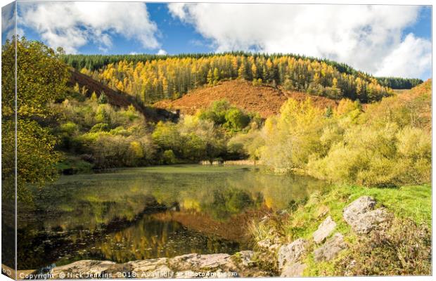 The Upper Pond at Clydach Vale Rhondda Autumn Canvas Print by Nick Jenkins