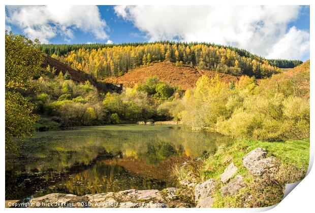 The Upper Pond at Clydach Vale Rhondda Autumn Print by Nick Jenkins