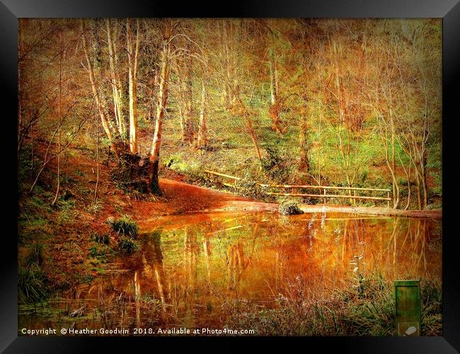Woodland Lakeside Framed Print by Heather Goodwin