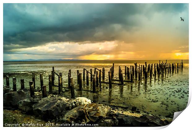 Delapidated Pier Print by Mandy Rice
