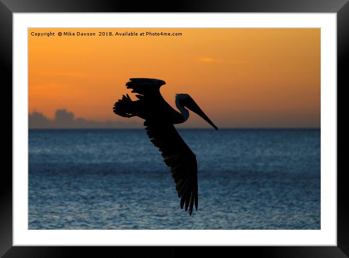 Sunset Glide Framed Mounted Print by Mike Dawson