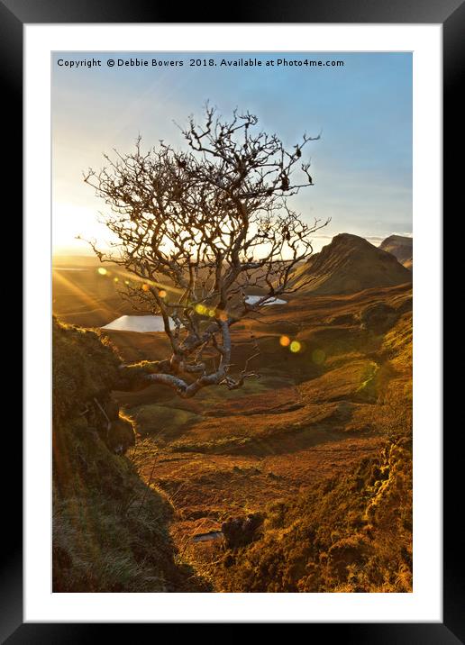 Quiraing lone tree  Framed Mounted Print by Lady Debra Bowers L.R.P.S