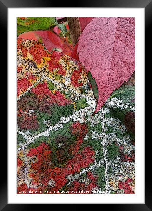 rust of autumn Framed Mounted Print by Marinela Feier