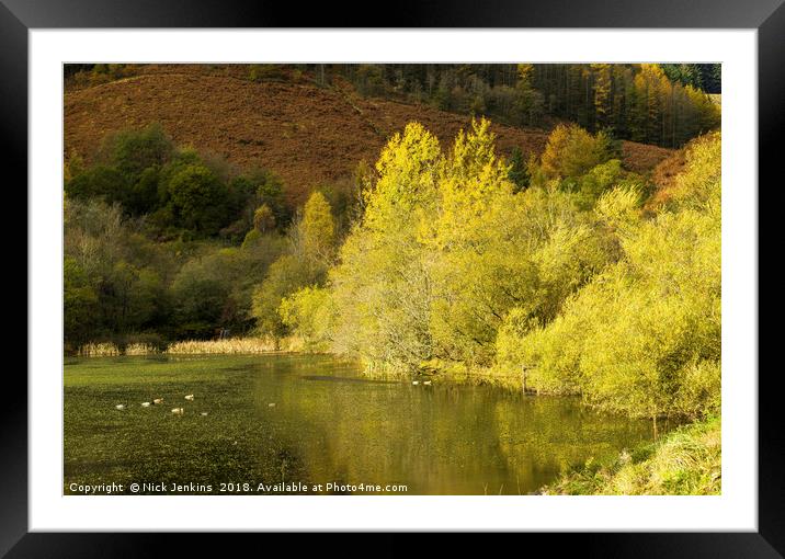 Autumn at Upper Pond Clydach Vale Rhondda Framed Mounted Print by Nick Jenkins