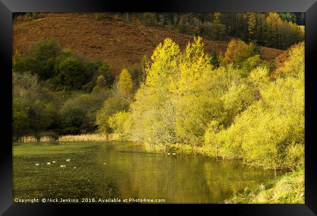 Autumn at Upper Pond Clydach Vale Rhondda Framed Print by Nick Jenkins