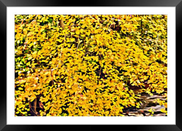Field of Yellow Framed Mounted Print by Darryl Brooks