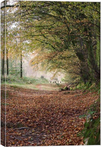 Early Autumn Canvas Print by Simon J Beer