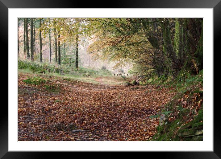 Early Autumn leaf fall Framed Mounted Print by Simon J Beer
