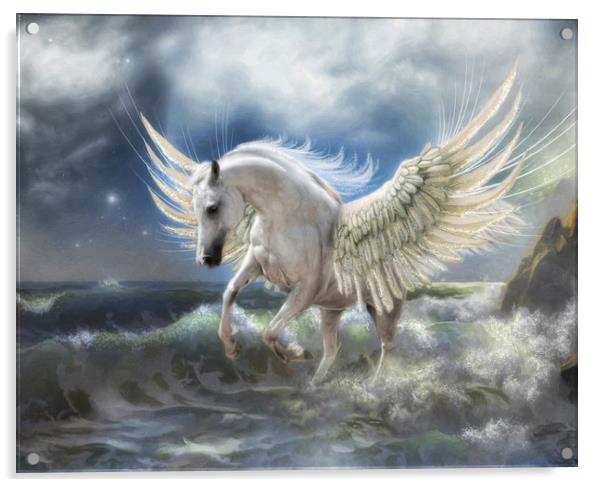 Pegasus Rising Acrylic by Trudi Simmonds