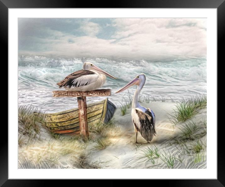 Pelican Point Framed Mounted Print by Trudi Simmonds
