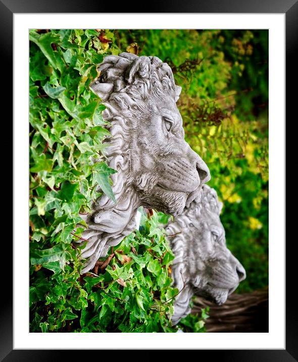 Garden Lions  Framed Mounted Print by Victor Burnside