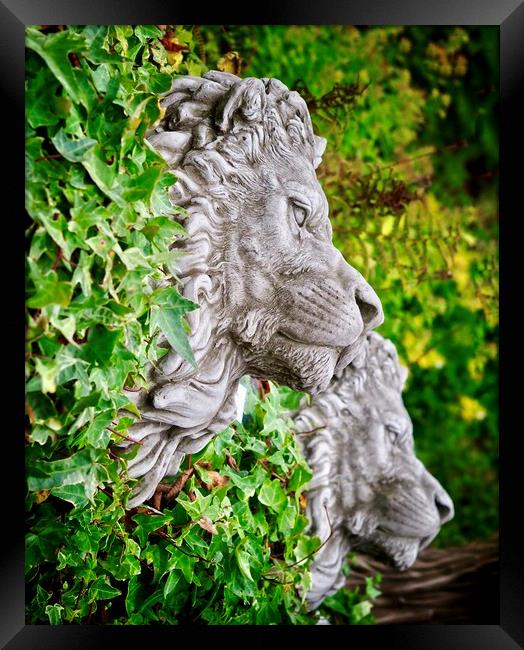 Garden Lions  Framed Print by Victor Burnside