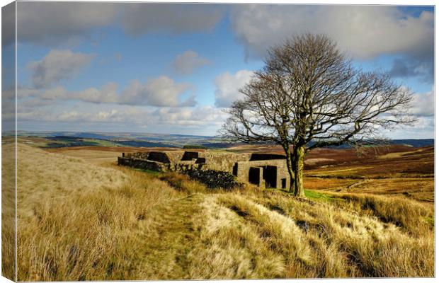  Top Withens in Bronte country Canvas Print by Diana Mower