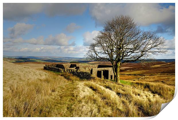  Top Withens in Bronte country Print by Diana Mower