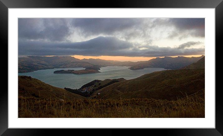 Kiwi Sunset Framed Mounted Print by Gill Allcock