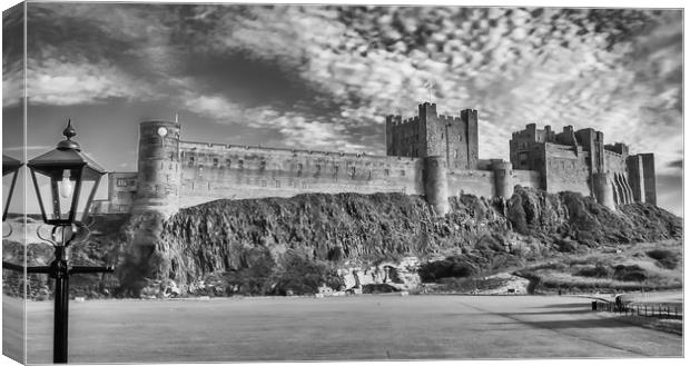 Castle from the Field Canvas Print by Naylor's Photography