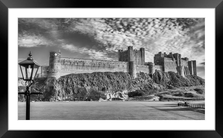 Castle from the Field Framed Mounted Print by Naylor's Photography