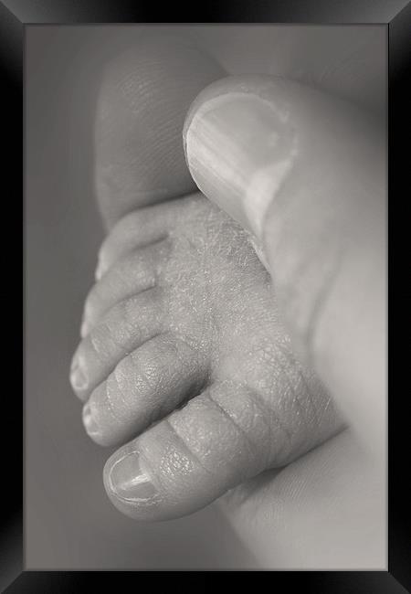 Baby foot in hand Framed Print by Jonathan Pankhurst